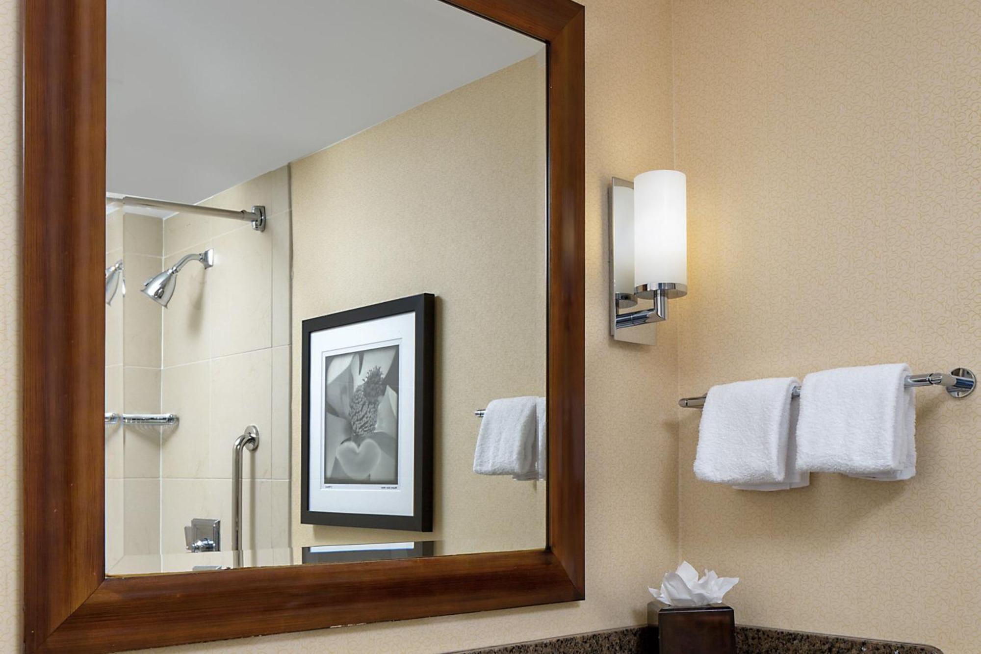 Wyndham Atlanta Buckhead Hotel & Conference Center Εξωτερικό φωτογραφία